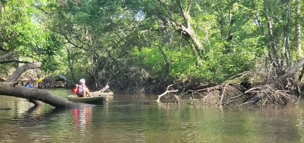 [Movie: He floated over the log no problem, 10:07:15, 30.8811090, -83.3265476 (19M)]