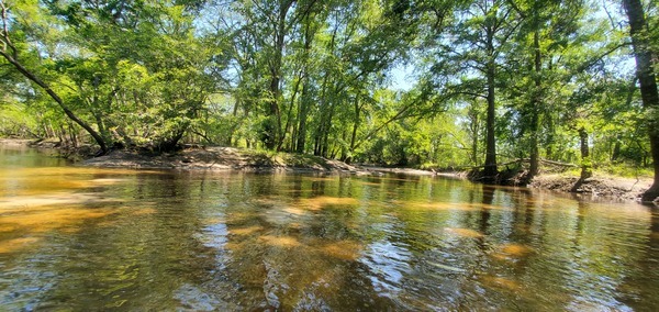 [Sugar Creek Confluence, 12:00:25, 30.8639707, -83.3206387]