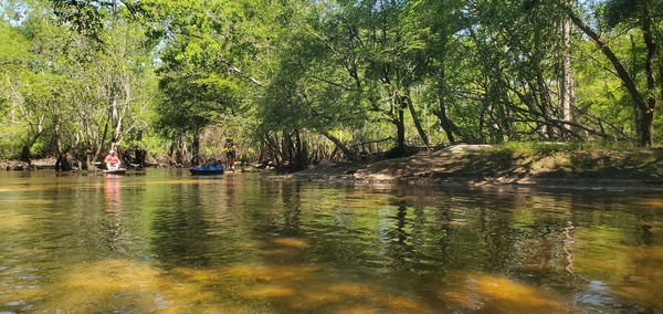 [Too late; on the sandbar, 12:01:30, 30.8638973, -83.3207815]