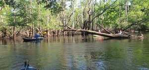 [Movie: Paddlers, 09:47:08, 30.8842988, -83.3251434 (43M)]