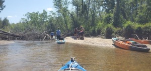 [Portage around logjam on Sugar Creek, 12:13:57, 30.8634374, -83.3192978]