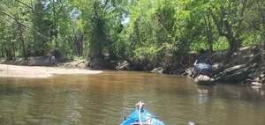 [Movie: The takeout, Salty Snapper Landing, below the WaterGoat, Sugar Creek, 12:29:39, 30.8627885, -83.3187518 (38M)]