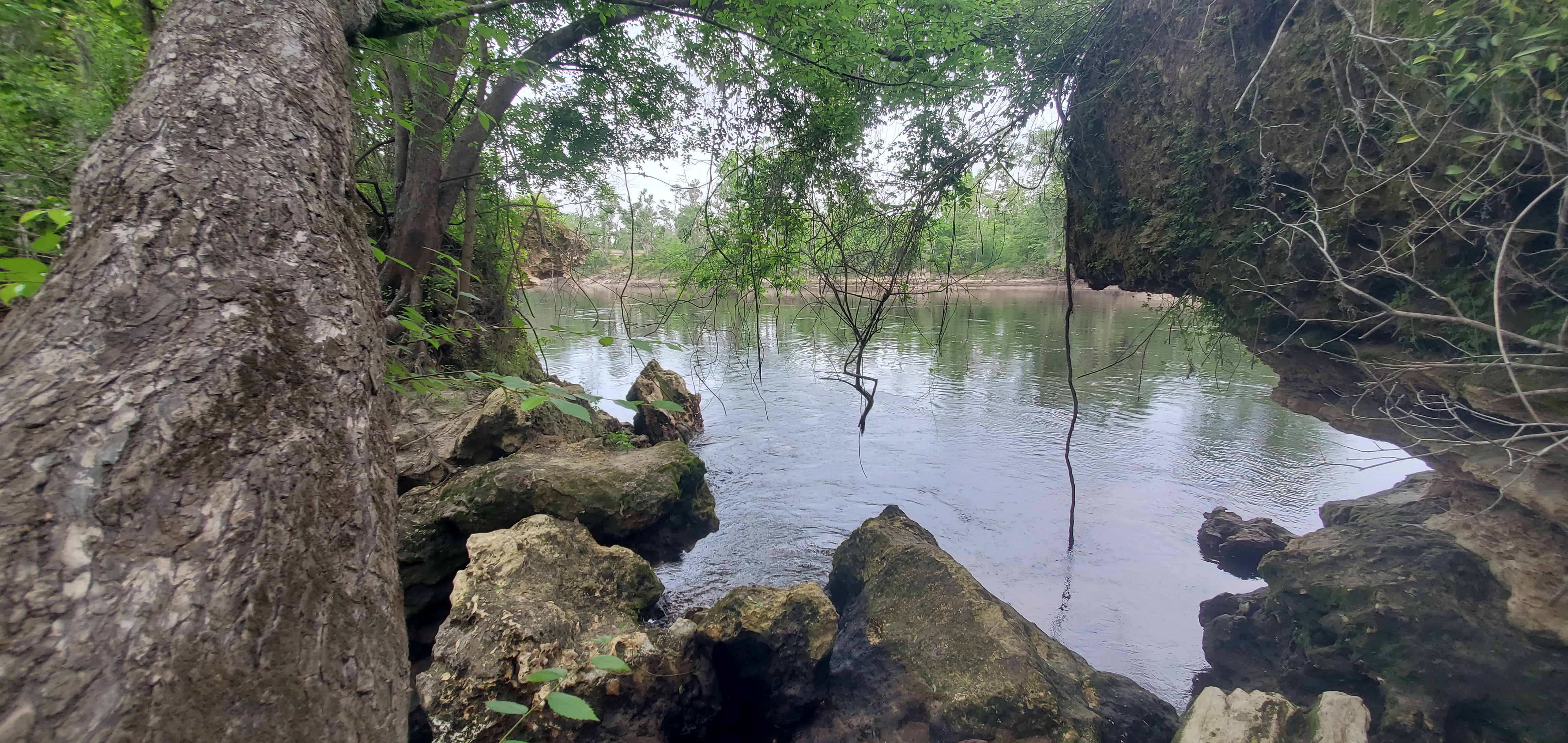 Suwannee River, Hillman Bridge top left