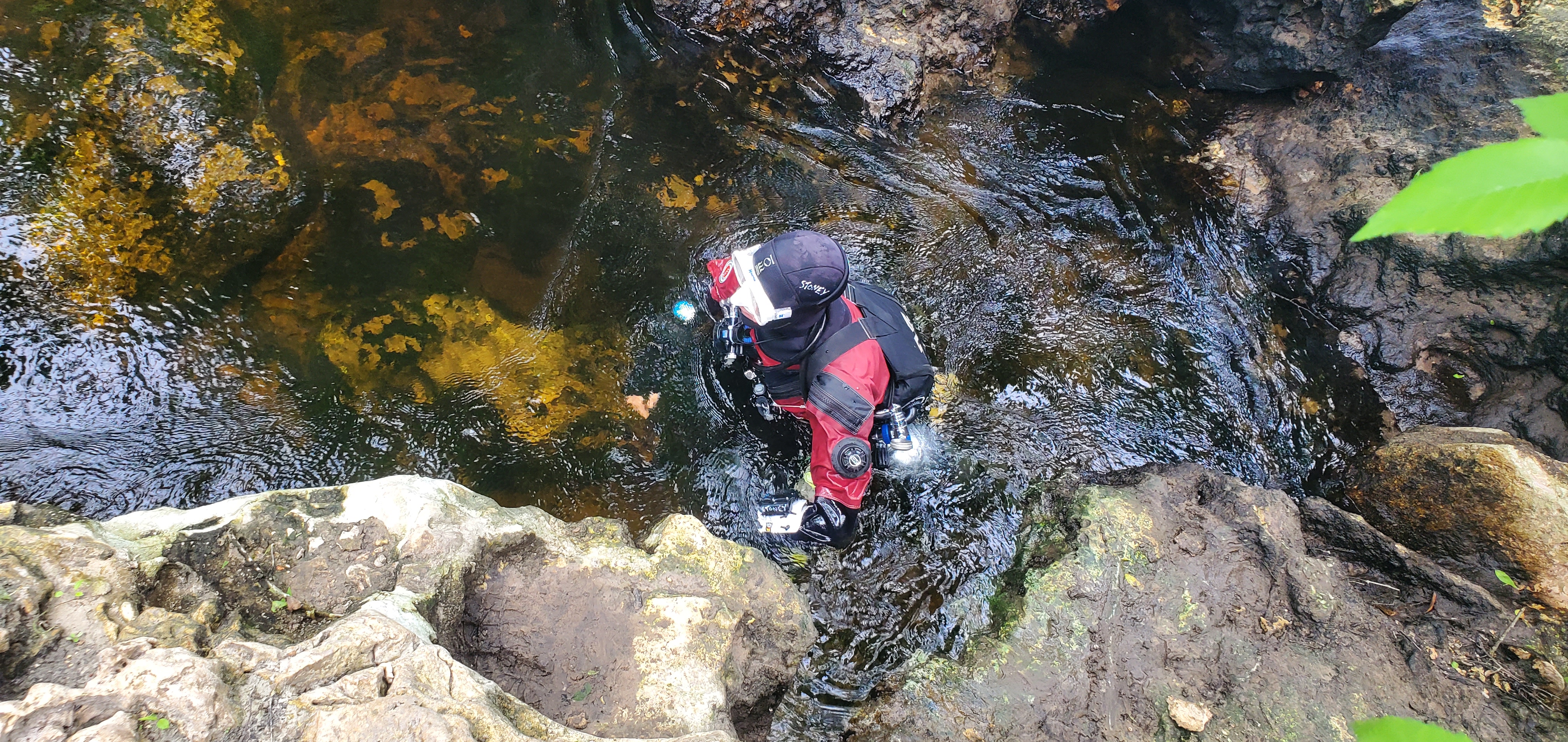 Stoney in the water