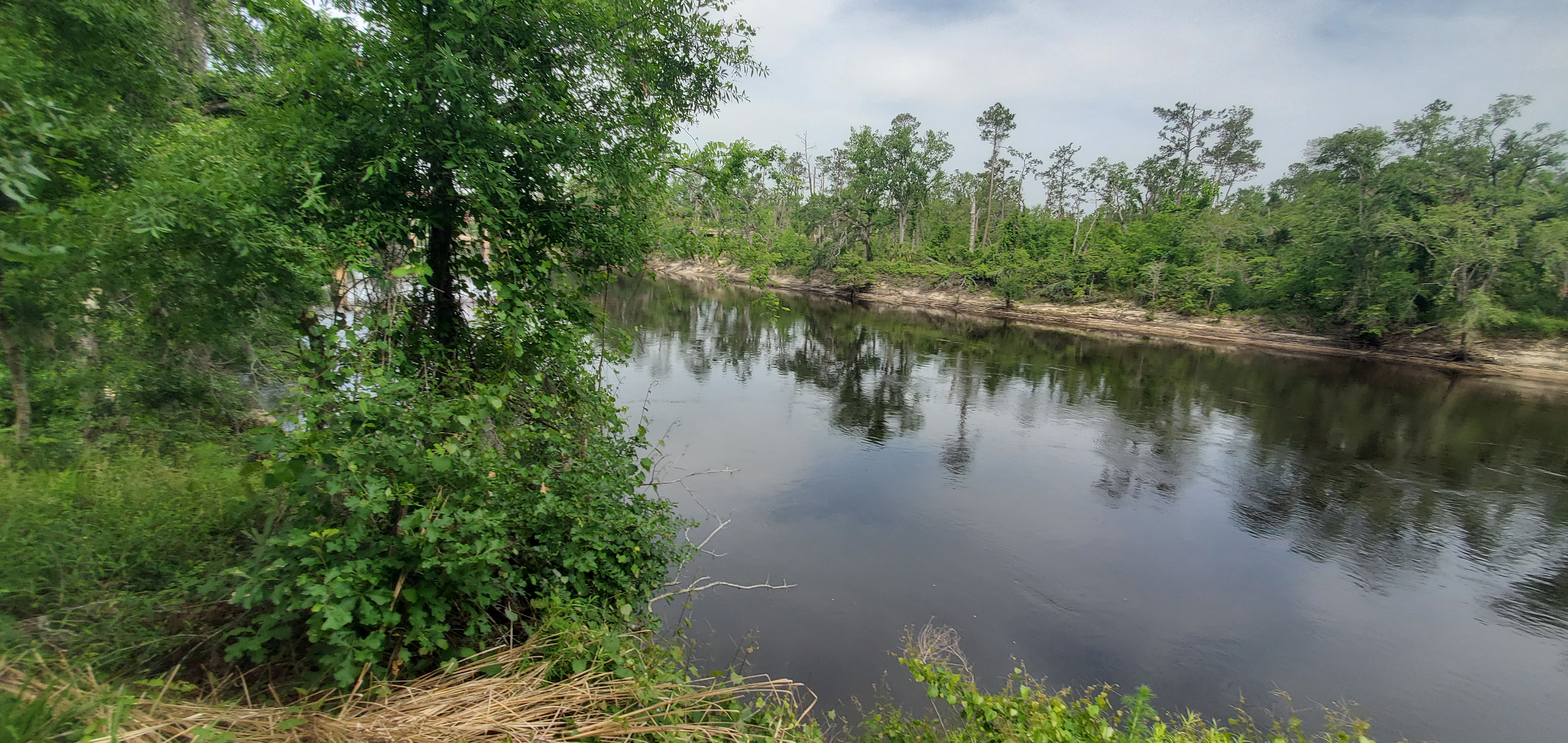 Downstream to Hillman Bridge