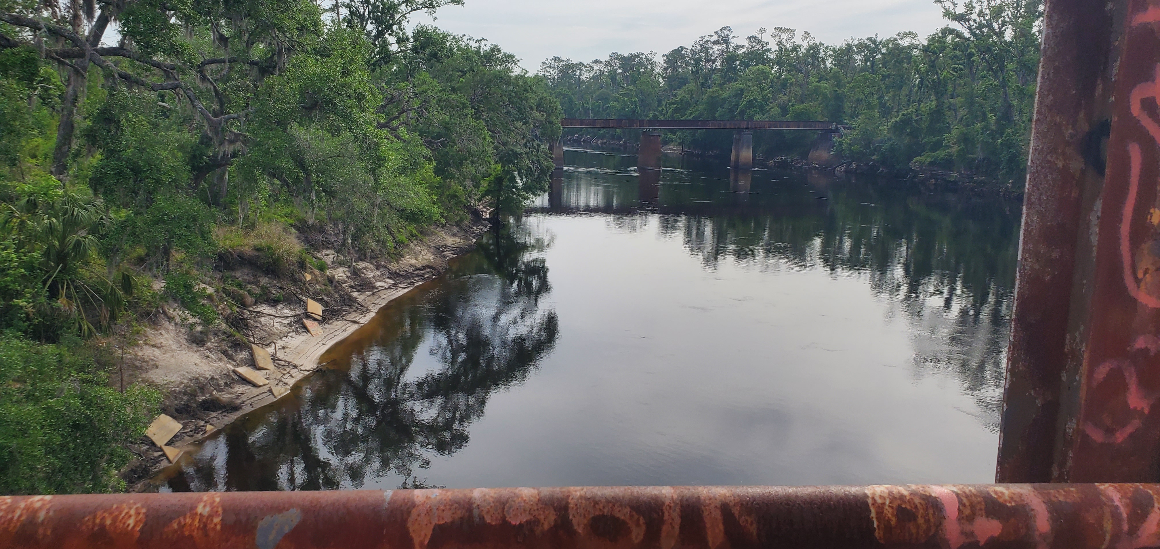 Upstream to CSX Railroad Bridge, 2025:04:22 10:03:37, 30.3848346, -83.1746295