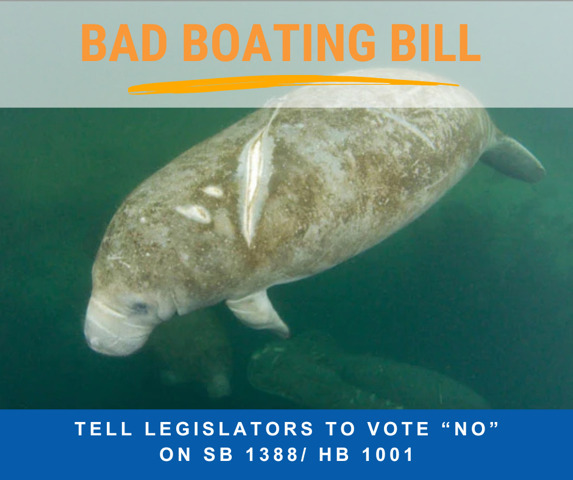 [Bad Boating Bill]