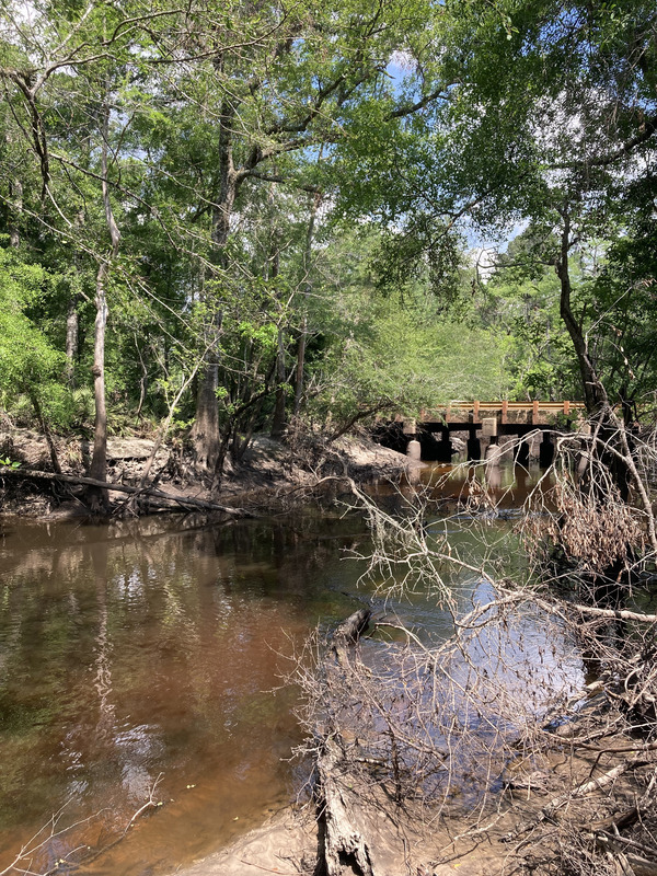 Downstream, Franklinville, Withlacoochee River @ Frankinville Road 2025-04-23