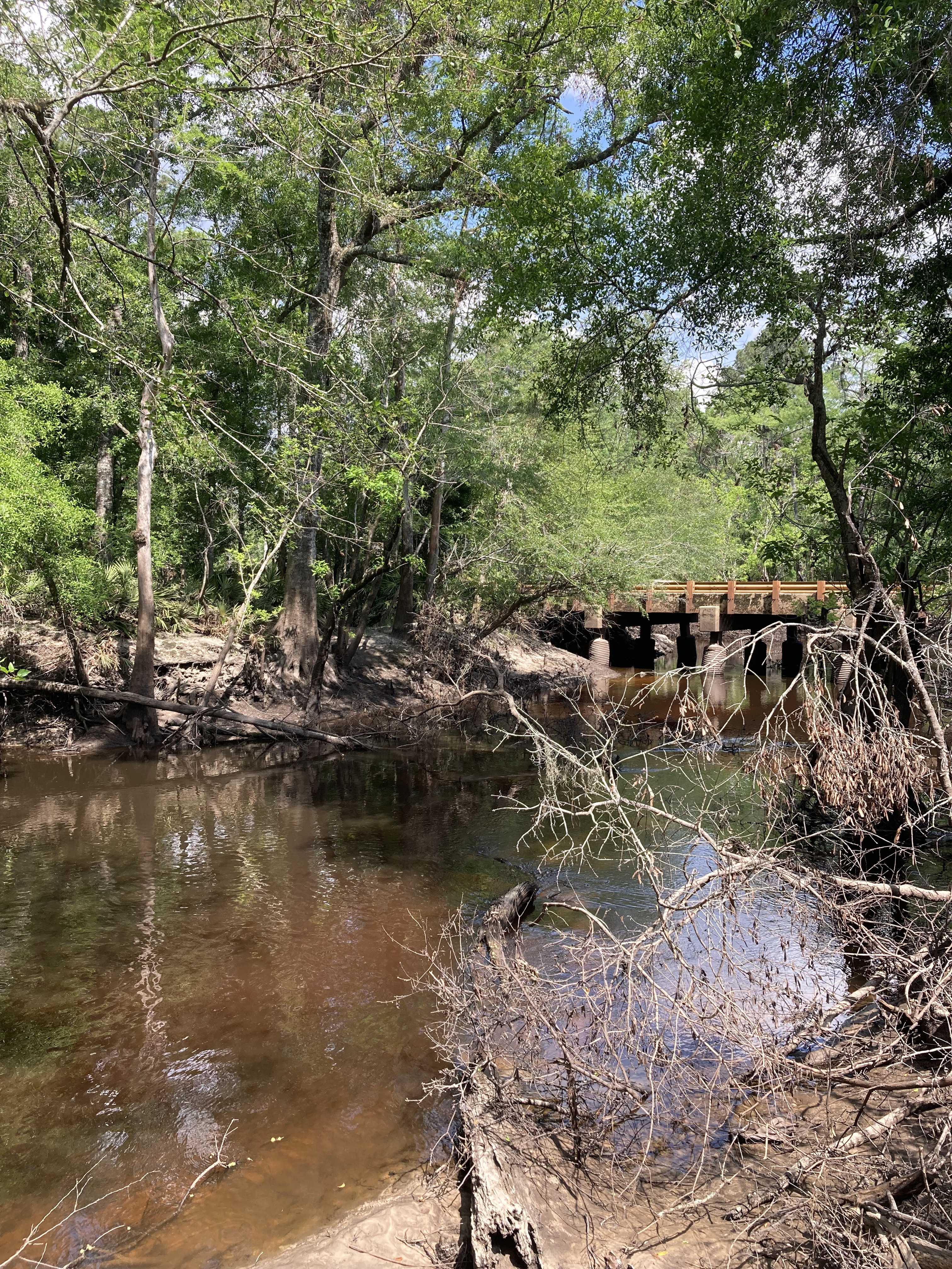 Downstream, Franklinville, Withlacoochee River @ Frankinville Road 2025-04-23