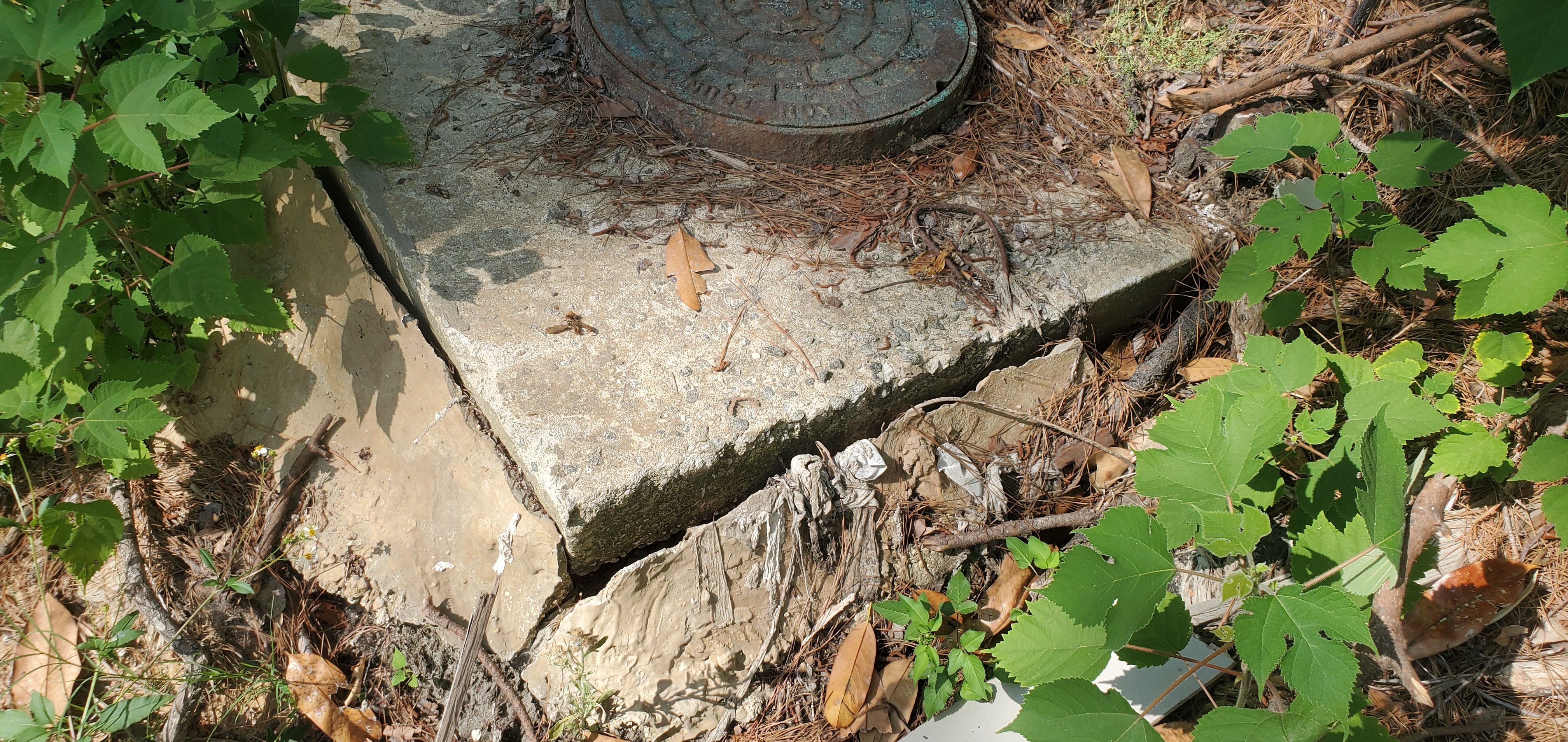 Cracks by the notoriously leaky old manhole, 10:16:17, 30.8428924, -83.3016049
