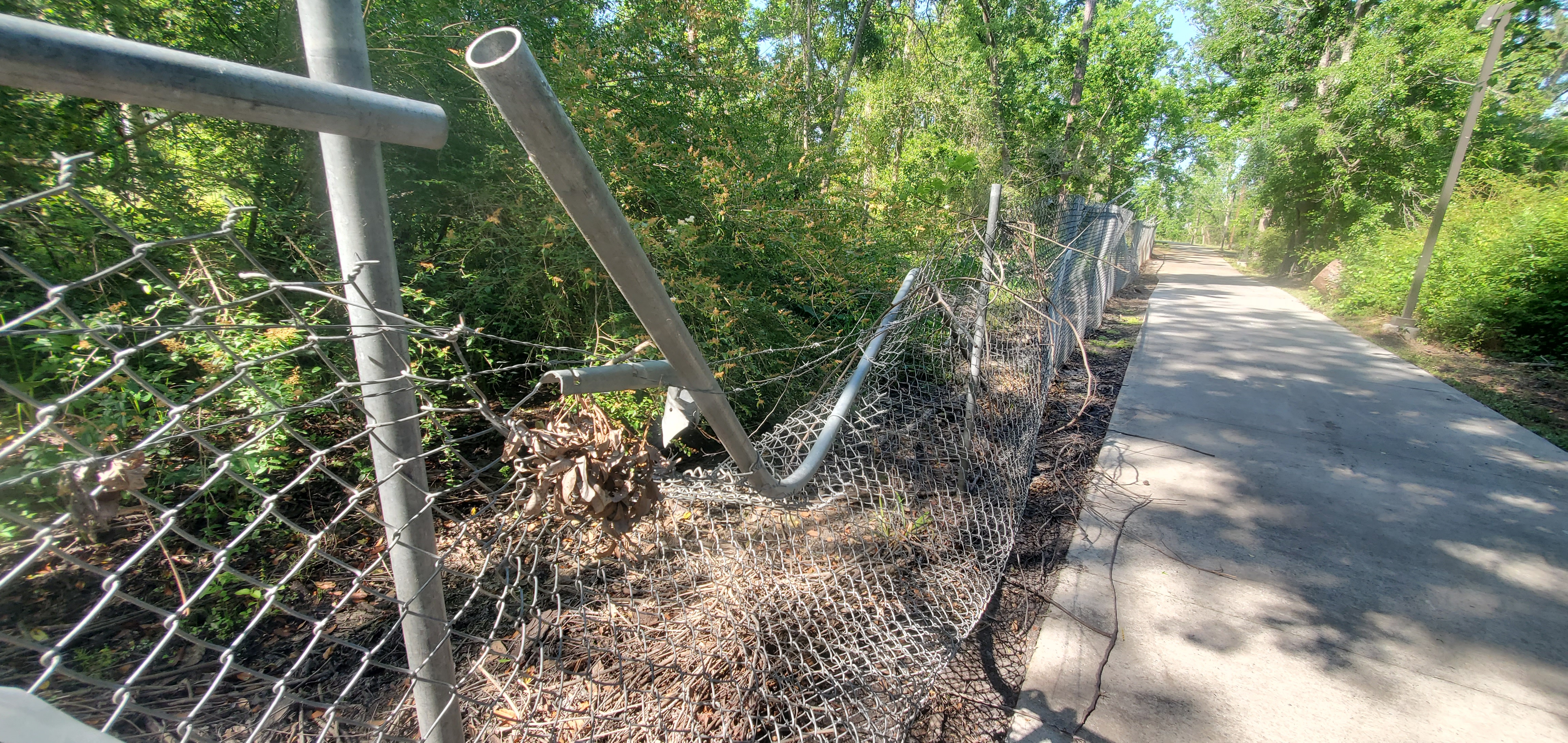 Barbed wire over bent chainlink fence, Azalea City Trail, 10:27:23, 30.8429134, -83.3000878