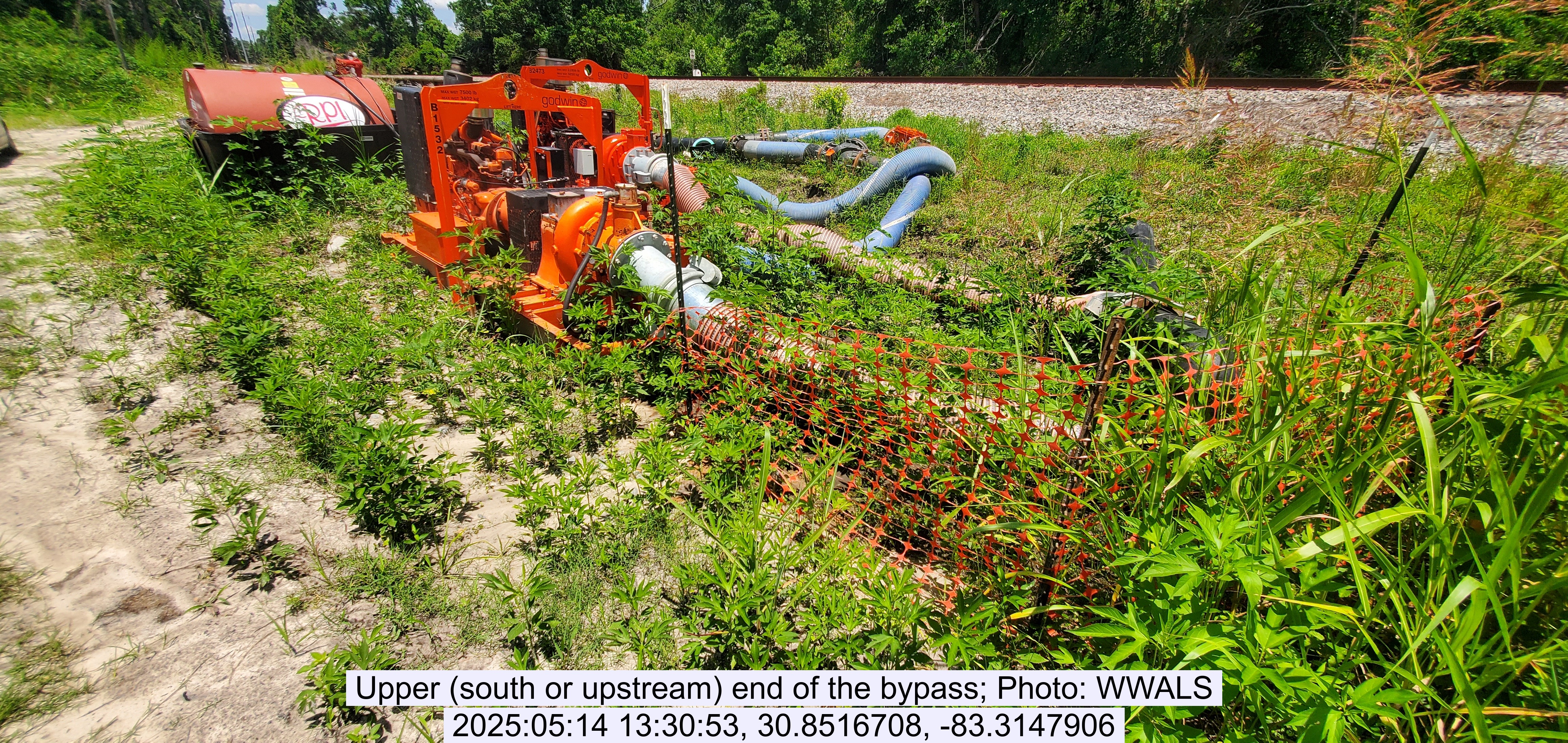 Upper (south or upstream) end of the bypass, 2025:05:14 13:30:53, 30.8516708, -83.3147906
