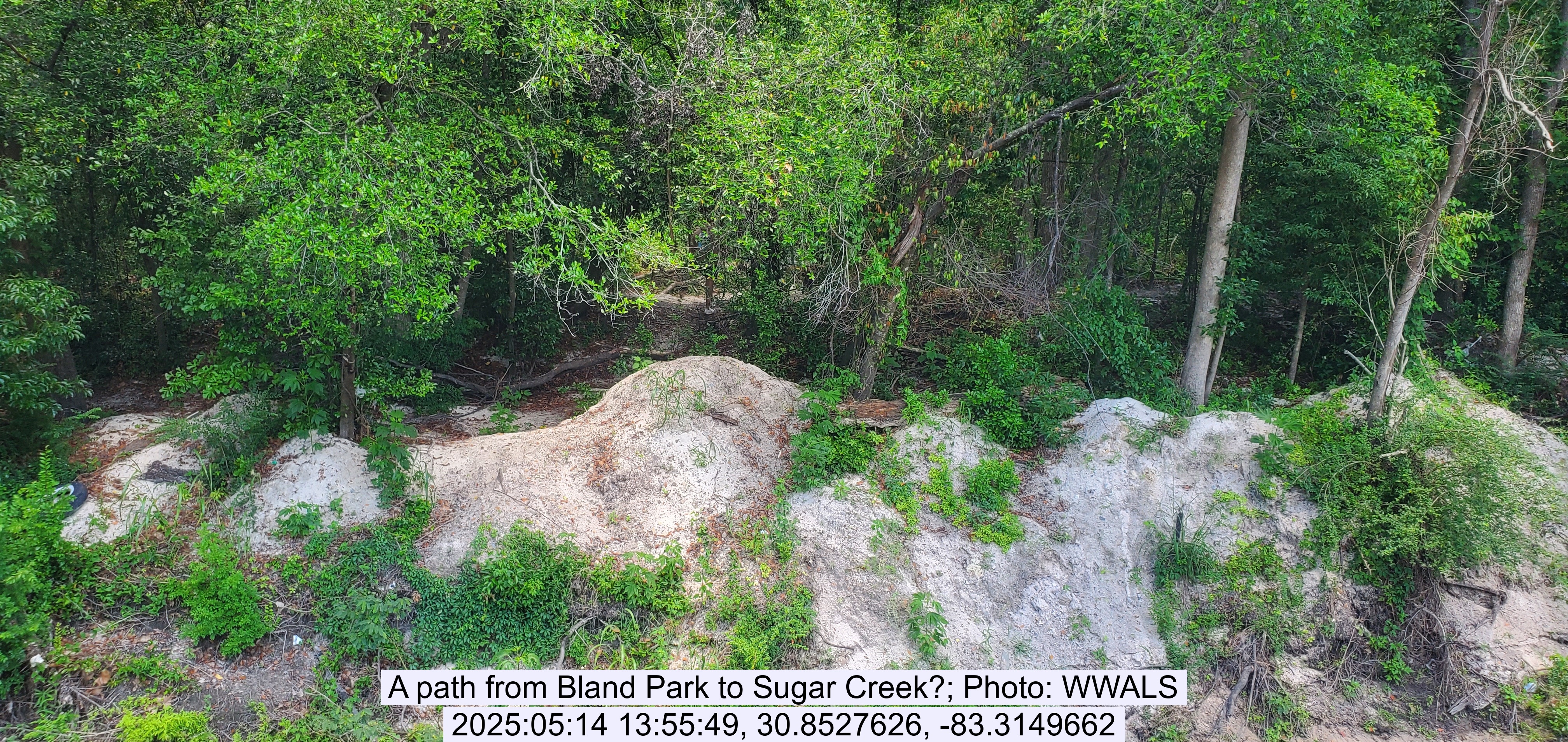 A path from Bland Park to Sugar Creek?, 2025:05:14 13:55:49, 30.8527626, -83.3149662
