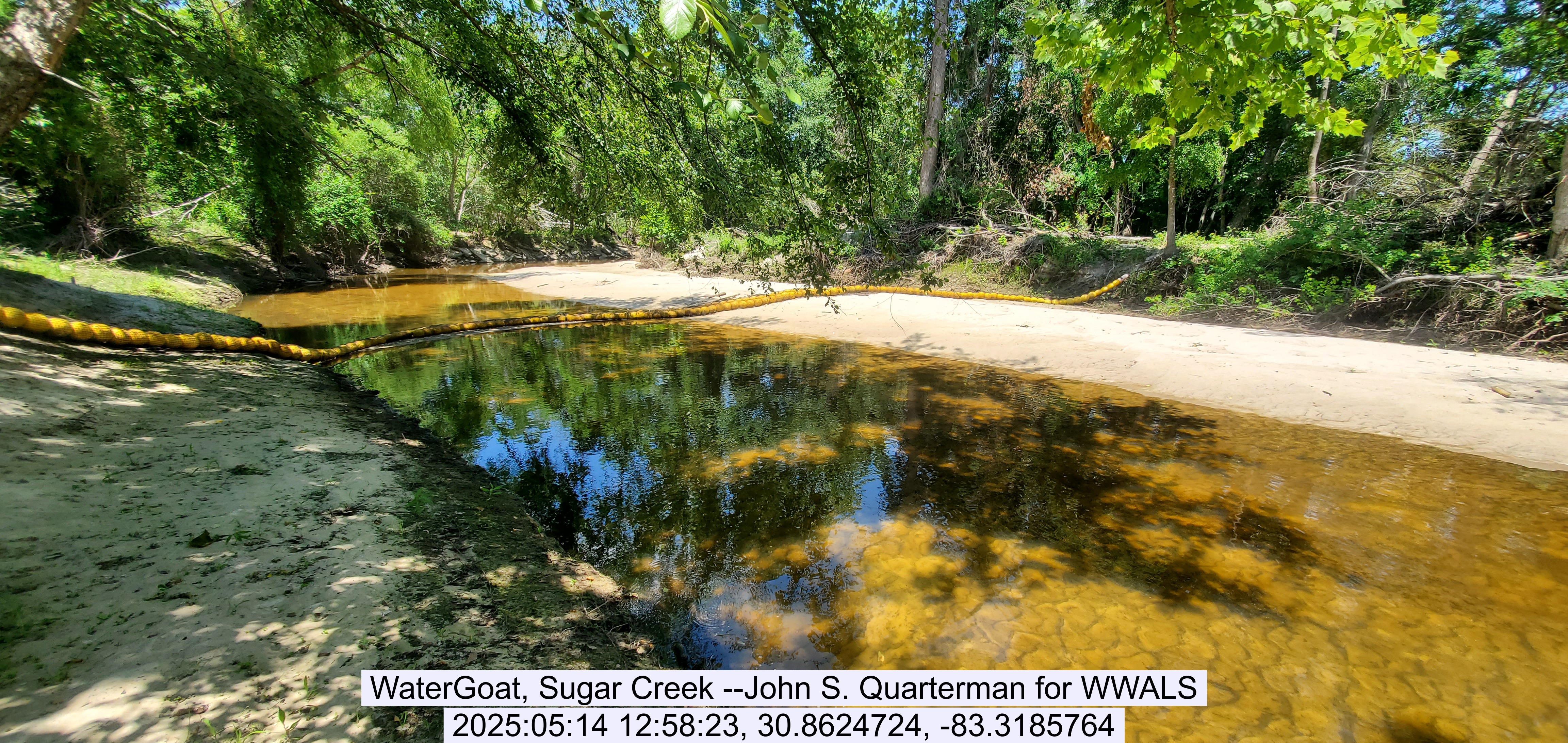 WaterGoat, Sugar Creek --John S. Quarterman for WWALS, 2025:05:14 12:58:23, 30.8624724, -83.3185764