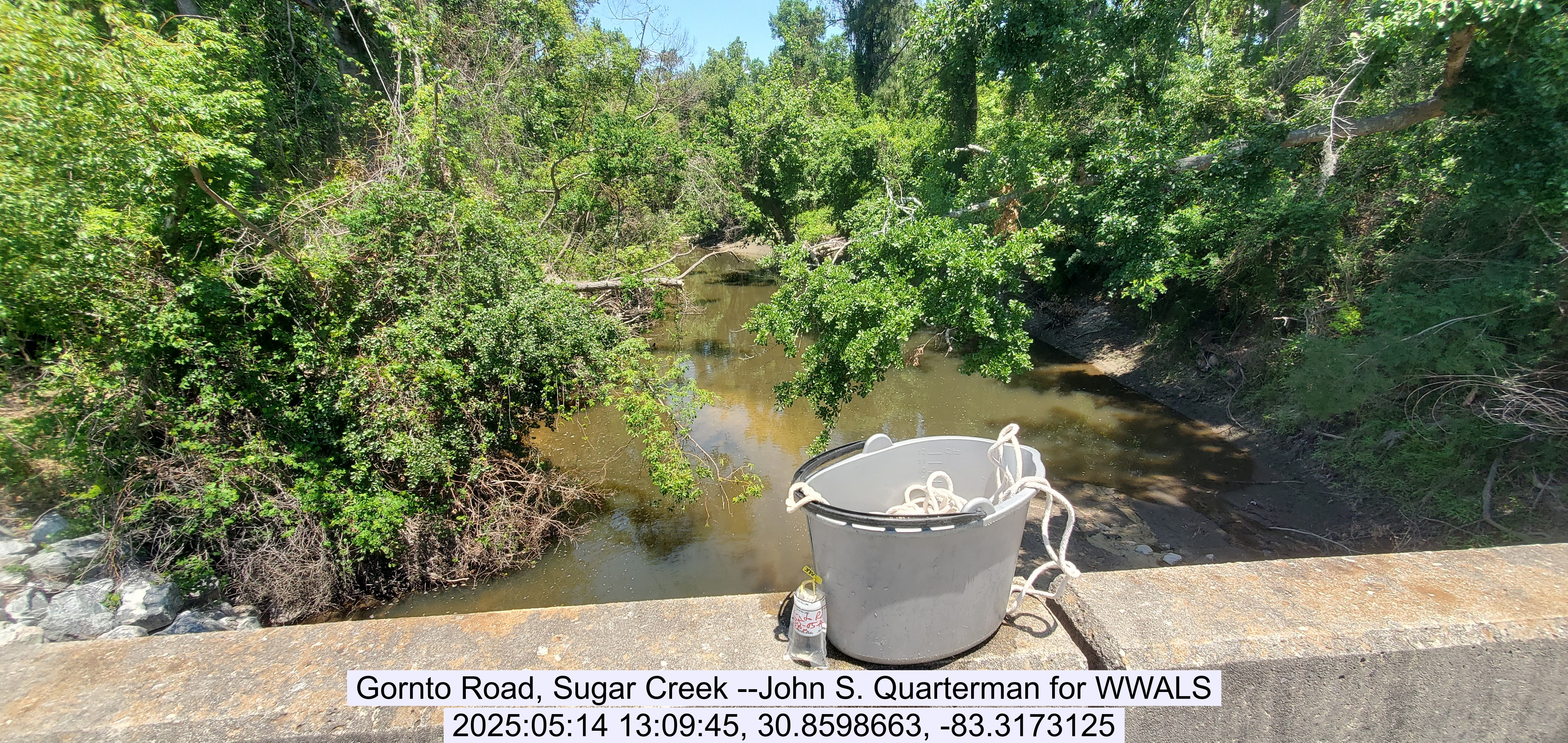 Gornto Road, Sugar Creek --John S. Quarterman for WWALS, 2025:05:14 13:09:45, 30.8598663, -83.3173125