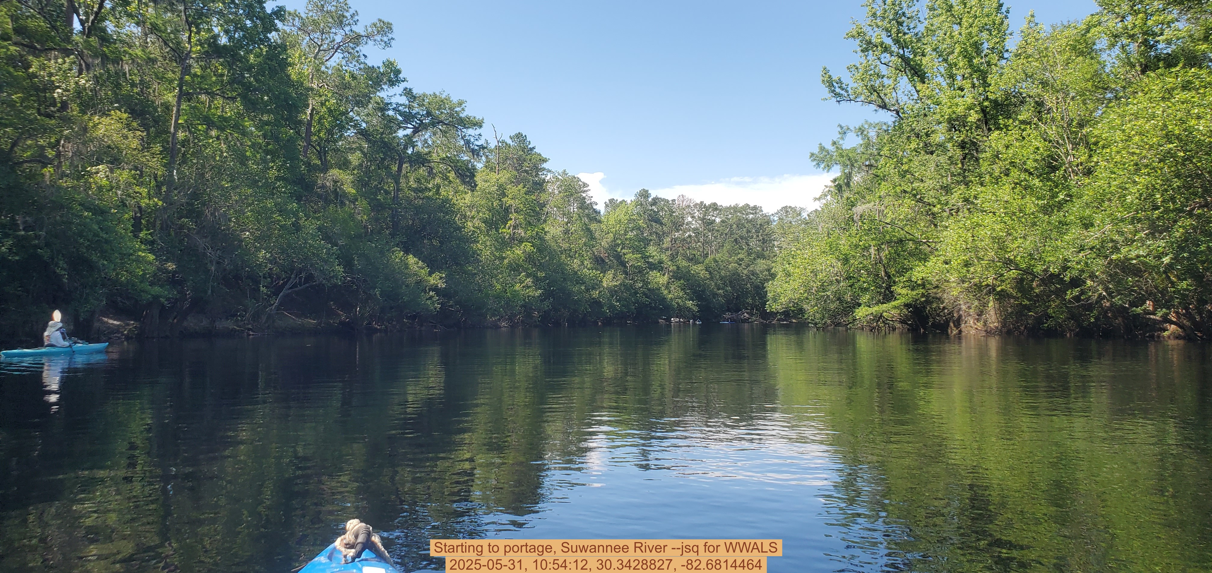 Starting to portage, Suwannee River --jsq for WWALS, 2025-05-31, 10:54:12, 30.3428827, -82.6814464
