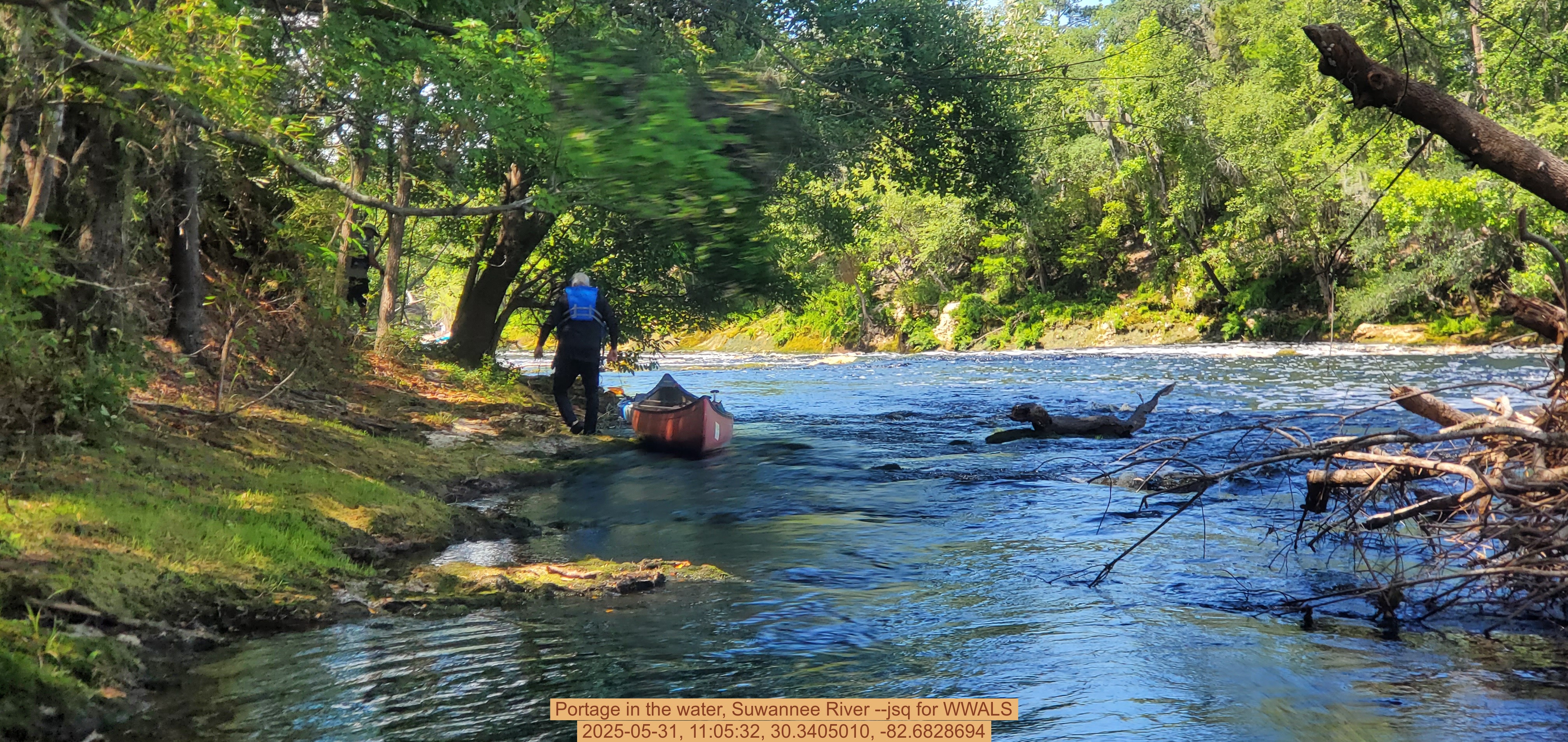 Portage in the water, Suwannee River --jsq for WWALS, 2025-05-31, 11:05:32, 30.3405010, -82.6828694