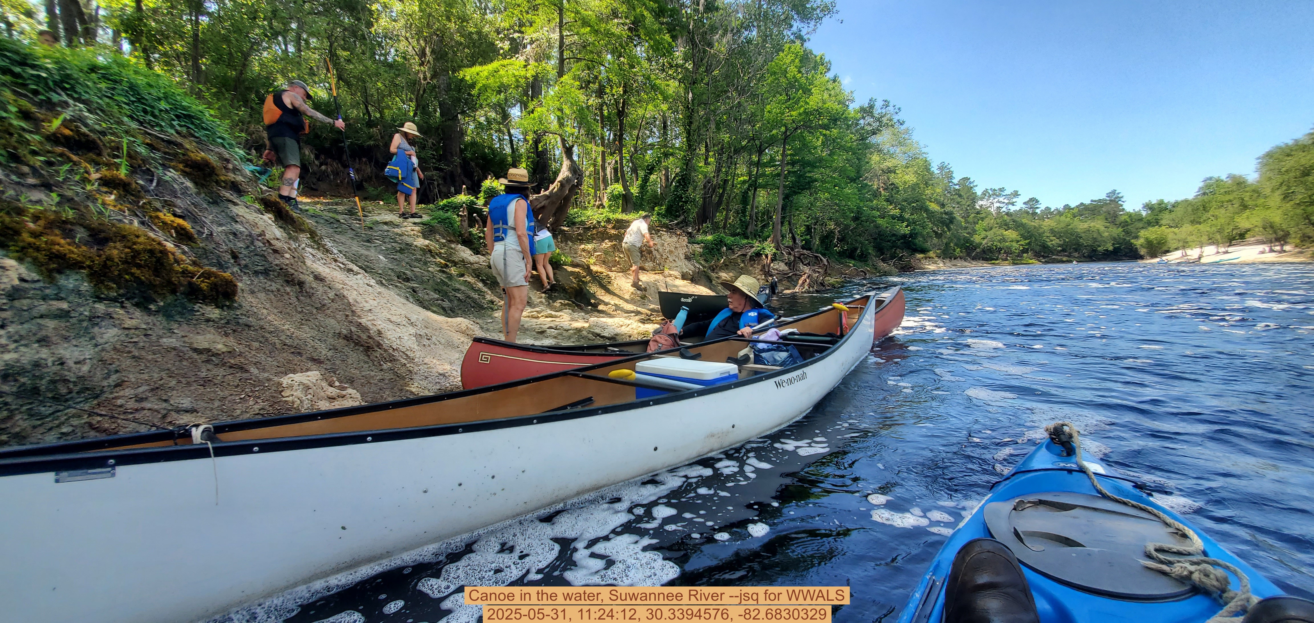 Canoe in the water, Suwannee River --jsq for WWALS, 2025-05-31, 11:24:12, 30.3394576, -82.6830329