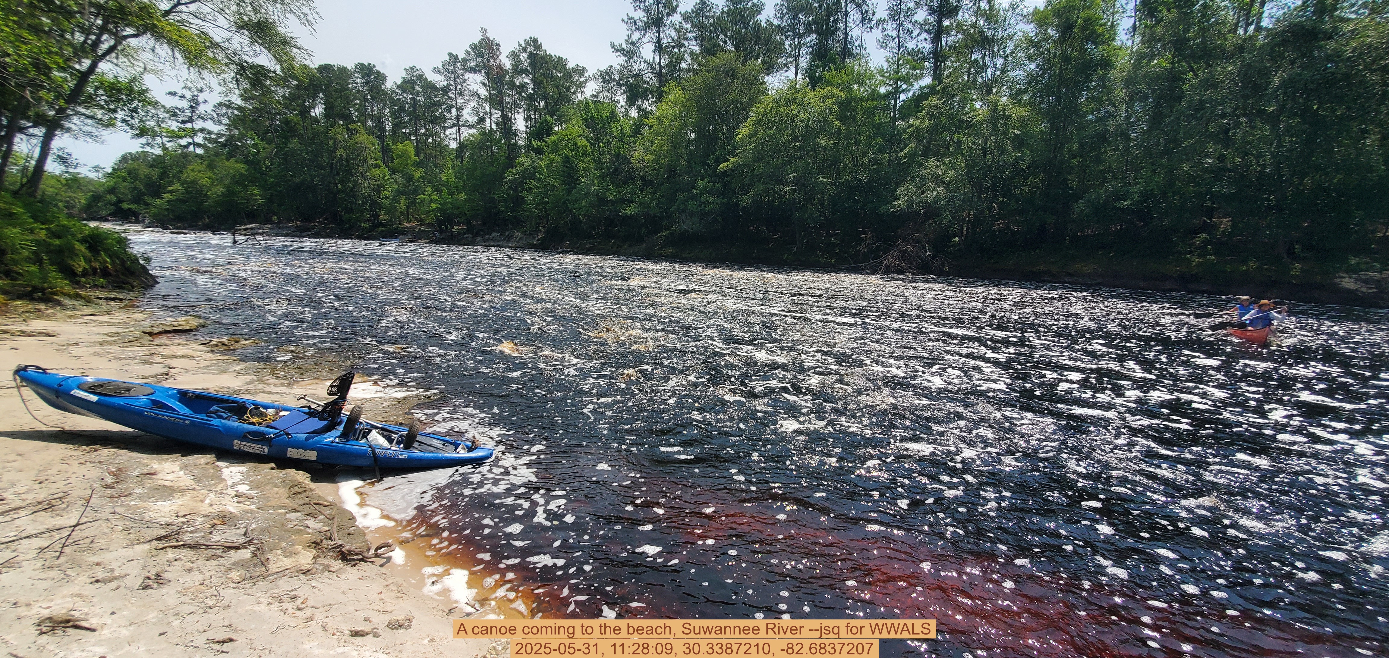A canoe coming to the beach, Suwannee River --jsq for WWALS, 2025-05-31, 11:28:09, 30.3387210, -82.6837207