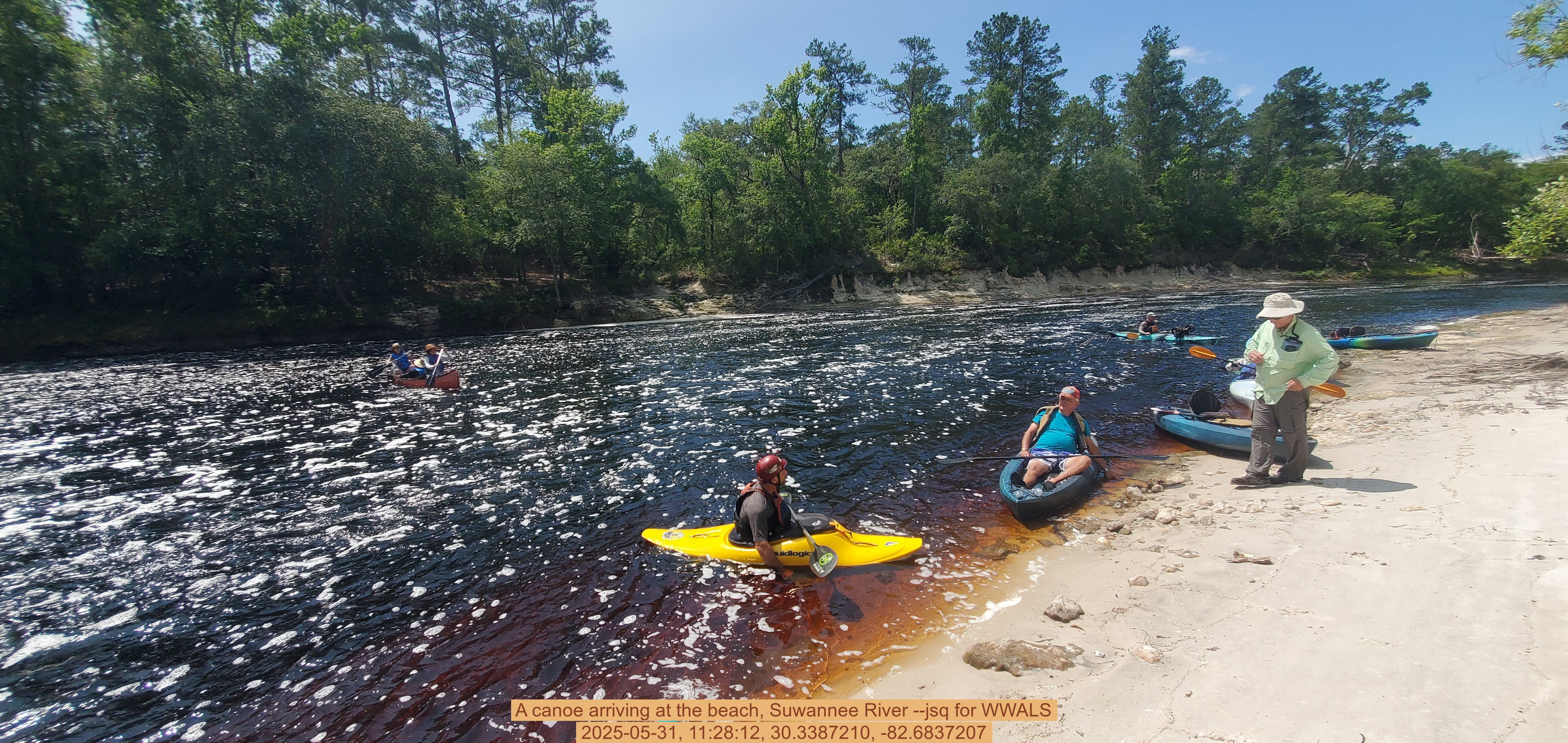 A canoe arriving at the beach, Suwannee River --jsq for WWALS, 2025-05-31, 11:28:12, 30.3387210, -82.6837207