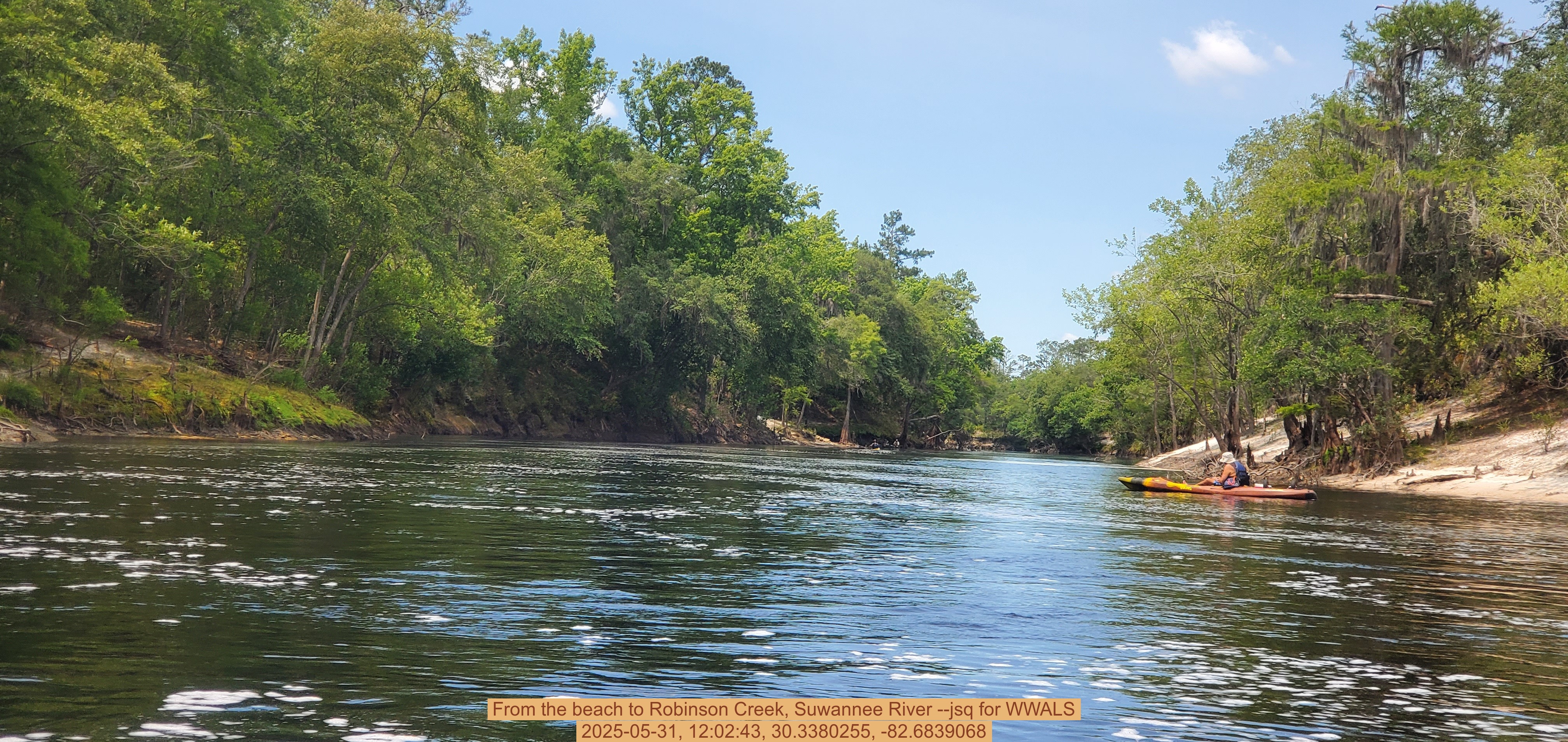 From the beach to Robinson Creek, Suwannee River --jsq for WWALS, 2025-05-31, 12:02:43, 30.3380255, -82.6839068