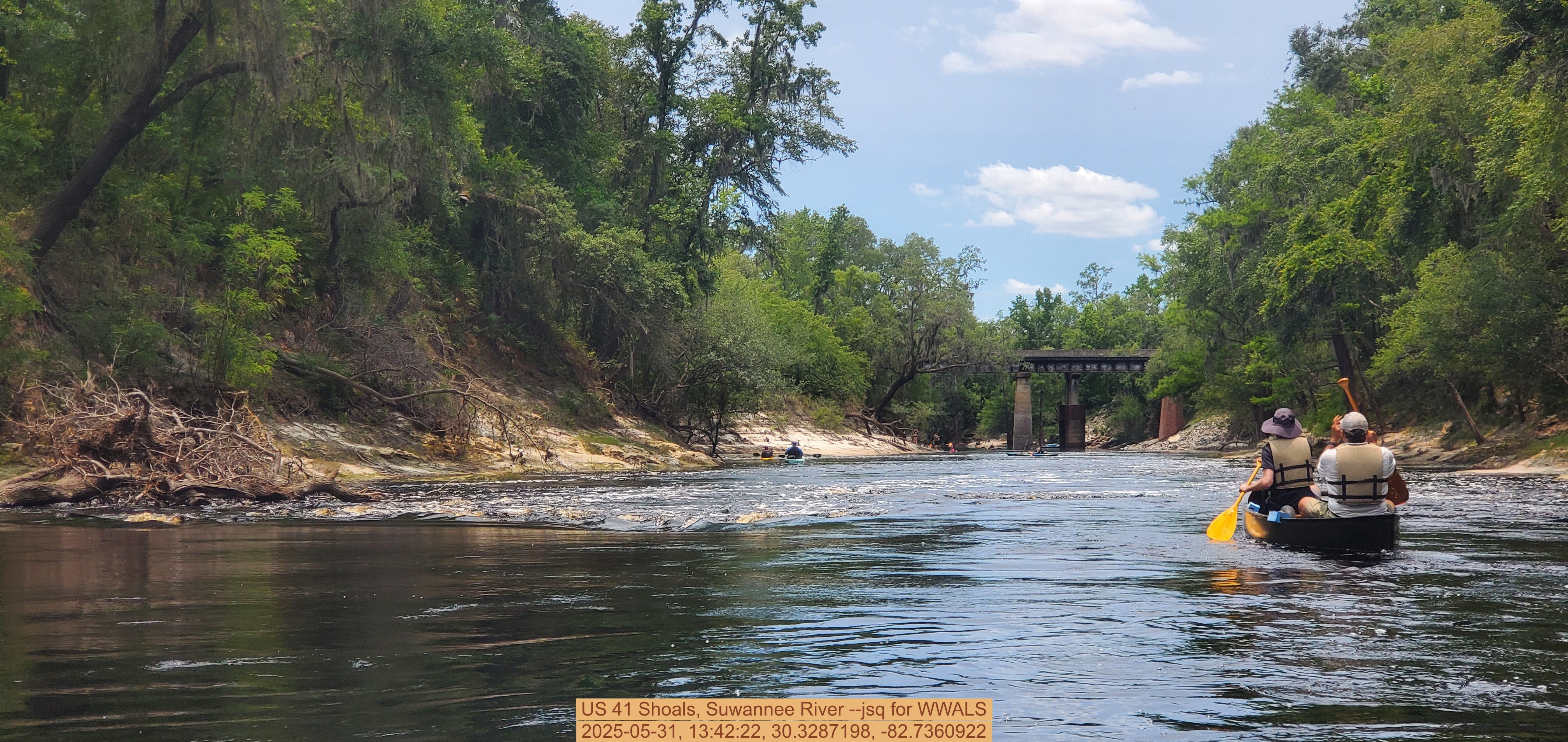 US 41 Shoals, Suwannee River --jsq for WWALS, 2025-05-31, 13:42:22, 30.3287198, -82.7360922