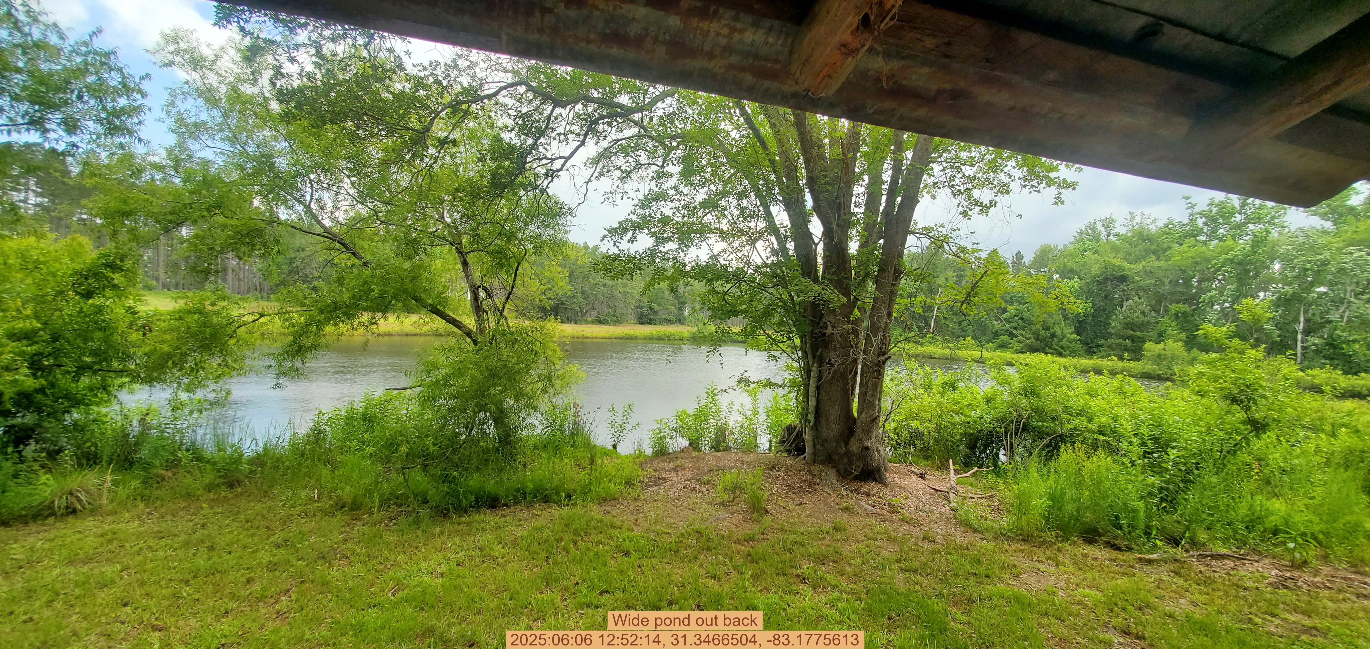 Wide pond out back, 2025:06:06 12:52:14, 31.3466504, -83.1775613