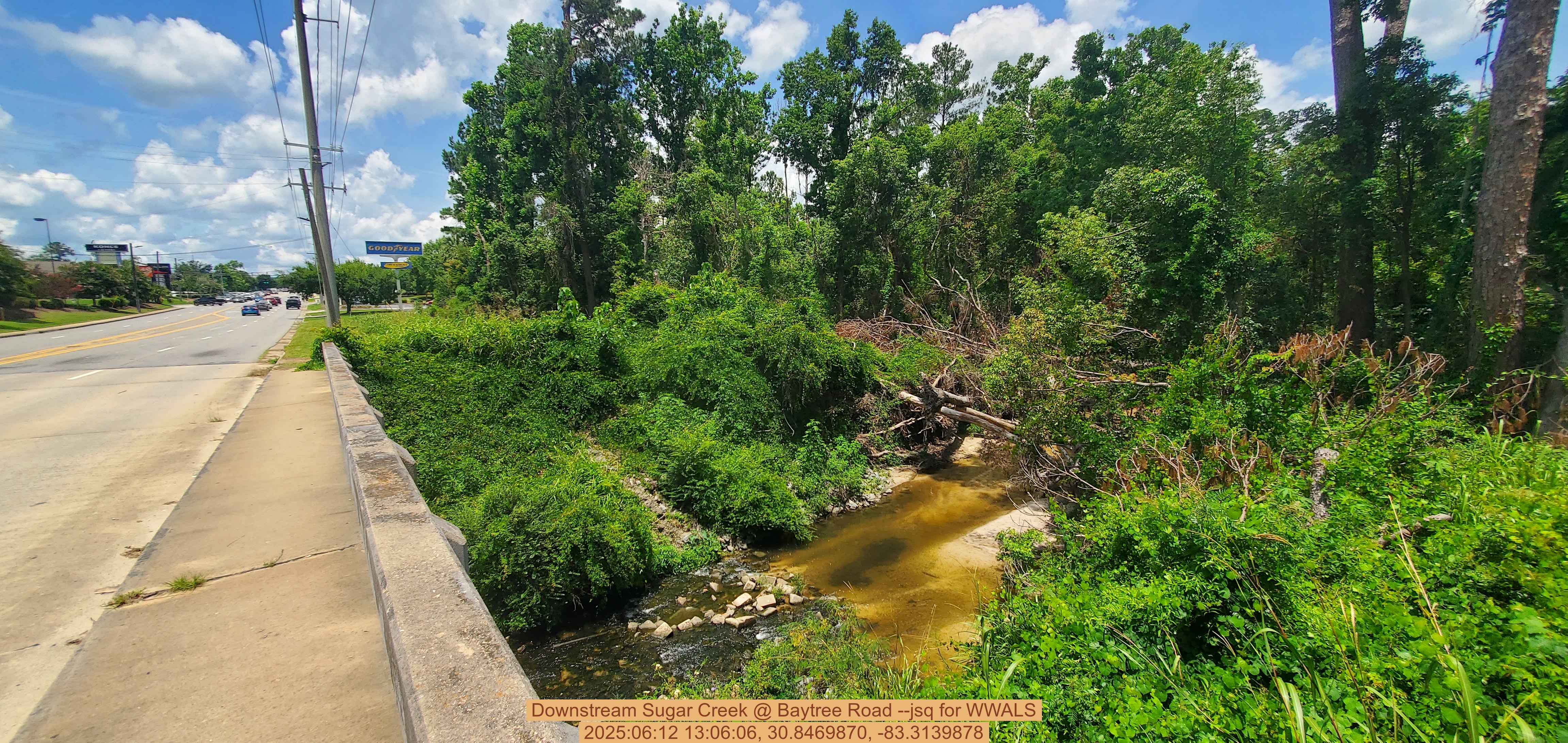 Downstream Sugar Creek @ Baytree Road --jsq for WWALS, 2025:06:12 13:06:06, 30.8469870, -83.3139878