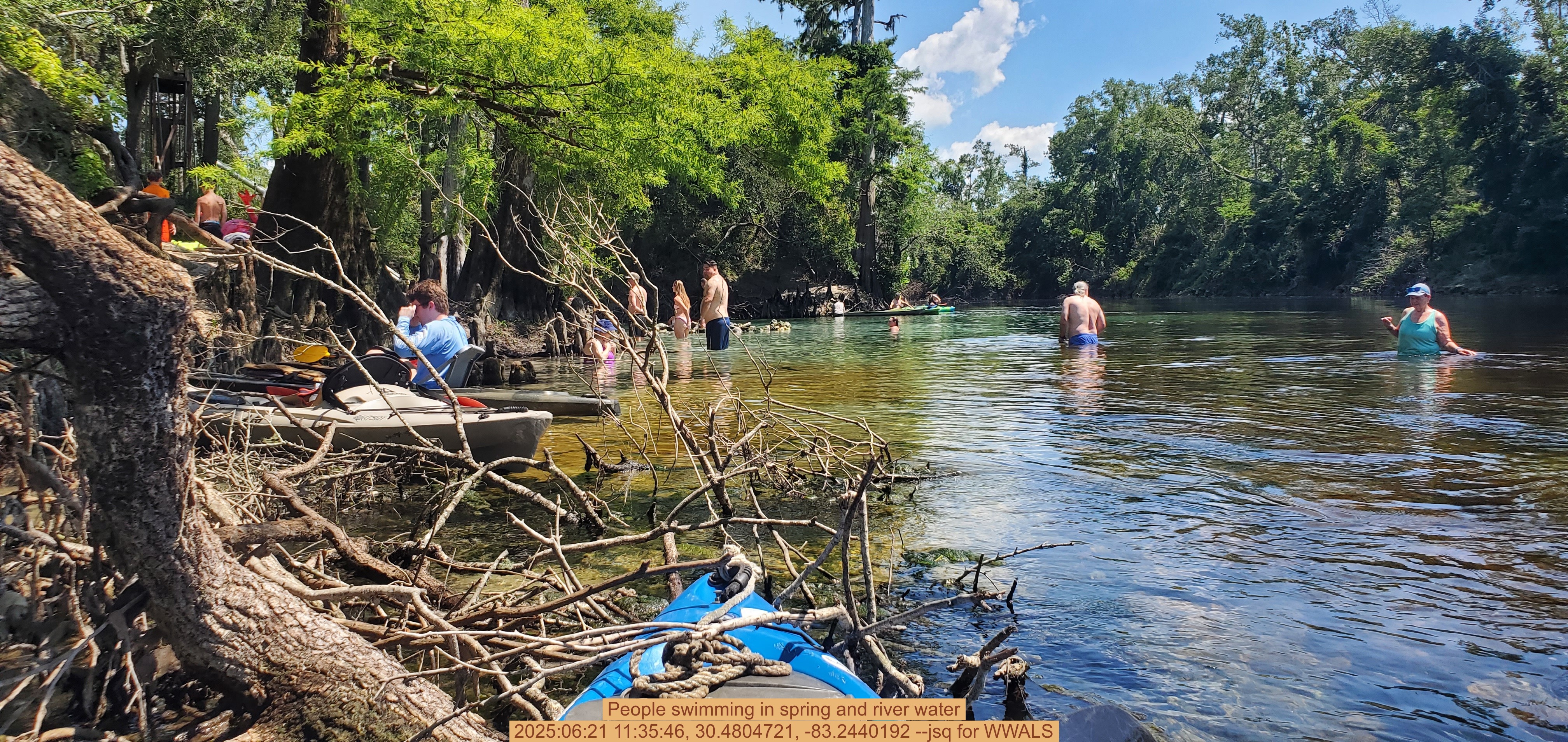 People swimming in spring and river water, 2025:06:21 11:35:46, 30.4804721, -83.2440192 --jsq for WWALS