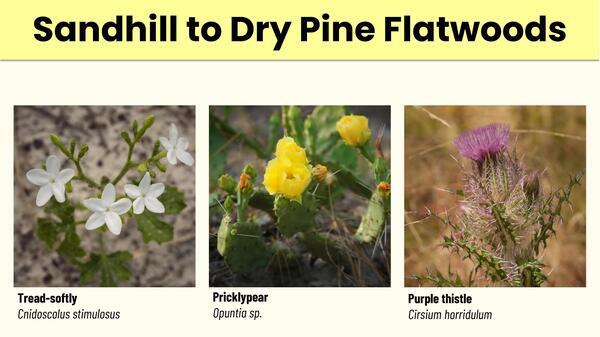 Slide 11