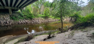 [Below GA 133, across the Withlacoochee River, 2025-07-02 --jsq for WWALS]