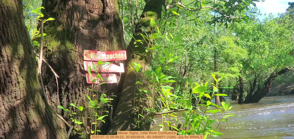 Movie: Signs, Little River Confluence, 2025:07:12 09:48:23, 30.8503819, -83.3483971 (12M) --jsq for WWALS