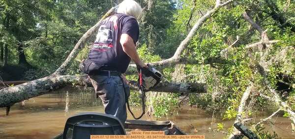 Movie: First deadfall, 2025:07:12 09:53:56, 30.8457012, -83.3471106 (4.3M) --jsq for WWALS