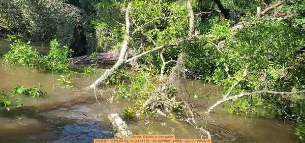 Movie: Debris in the water, 2025:07:12 09:55:59, 30.8457170, -83.3470861 (45M) --jsq for WWALS
