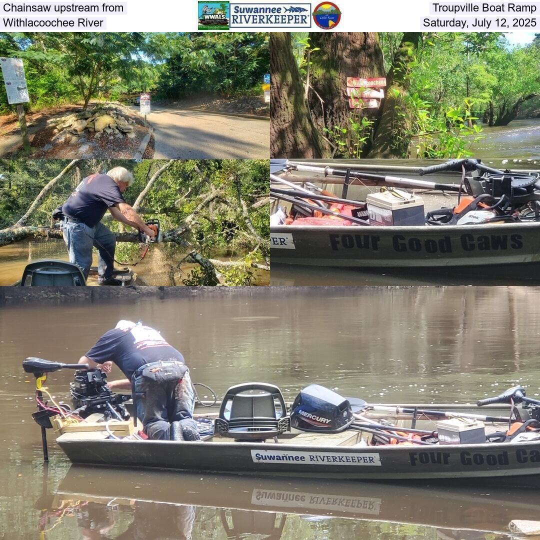 Chainsaw upstream from Troupville Boat Ramp, Withlacoochee River, Saturday, July 12, 2025