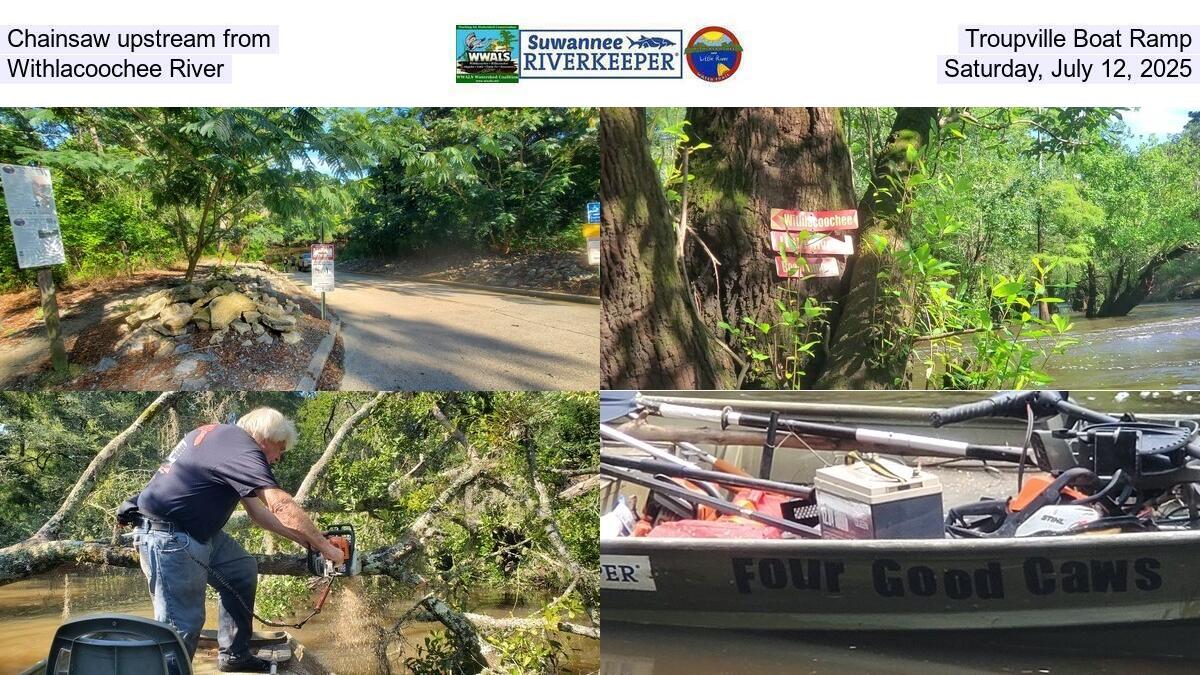 Chainsaw upstream from Troupville Boat Ramp, Withlacoochee River, Saturday, July 12, 2025