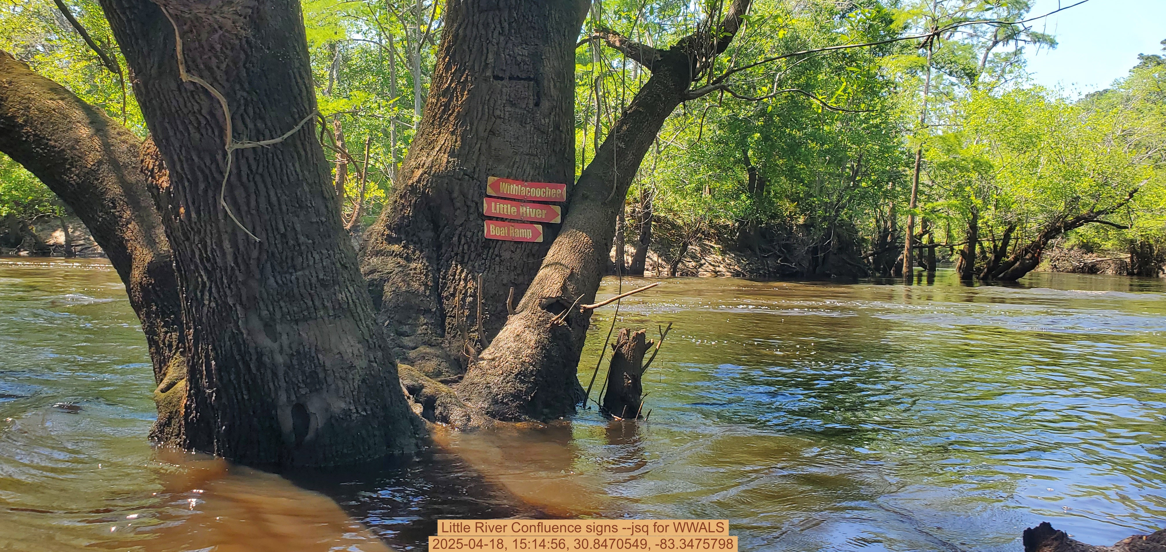 Little River Confluence signs --jsq for WWALS, 2025-04-18, 15:14:56, 30.8470549, -83.3475798
