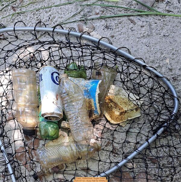 Trash, WaterGoat, Sugar Creek, 2025-07-12 --Suzy Hall for WWALS