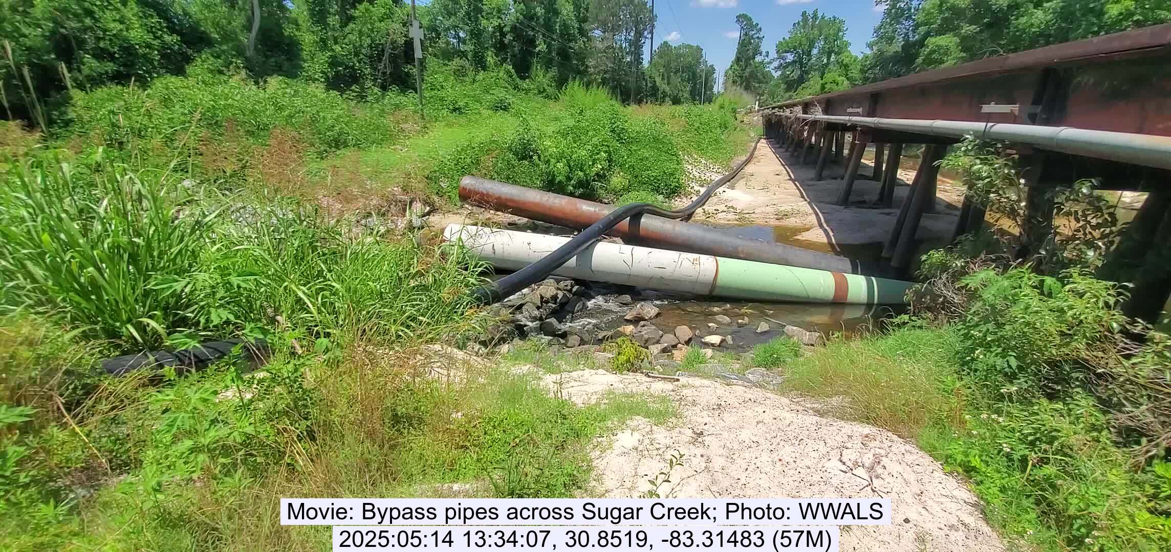 Sewager bypass pipes across Sugar Creek, 2025:05:14 13:34:07, 30.8519, -83.31483 --jsq for WWALS