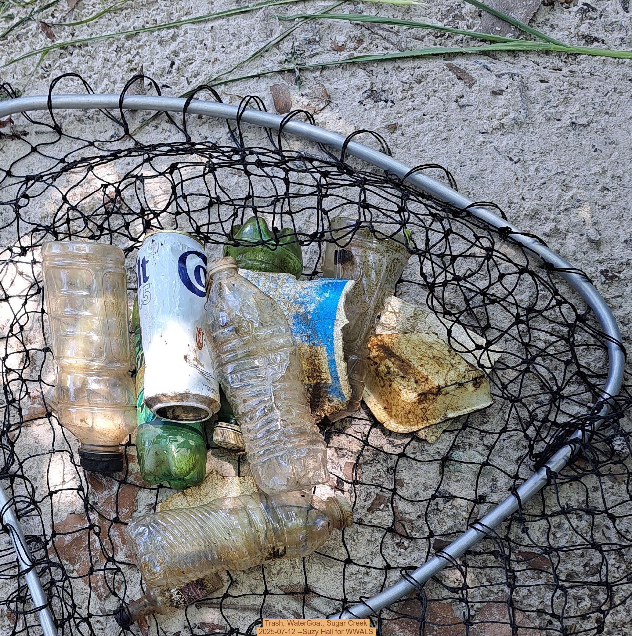 Trash, WaterGoat, Sugar Creek, 2025-07-12 --Suzy Hall for WWALS