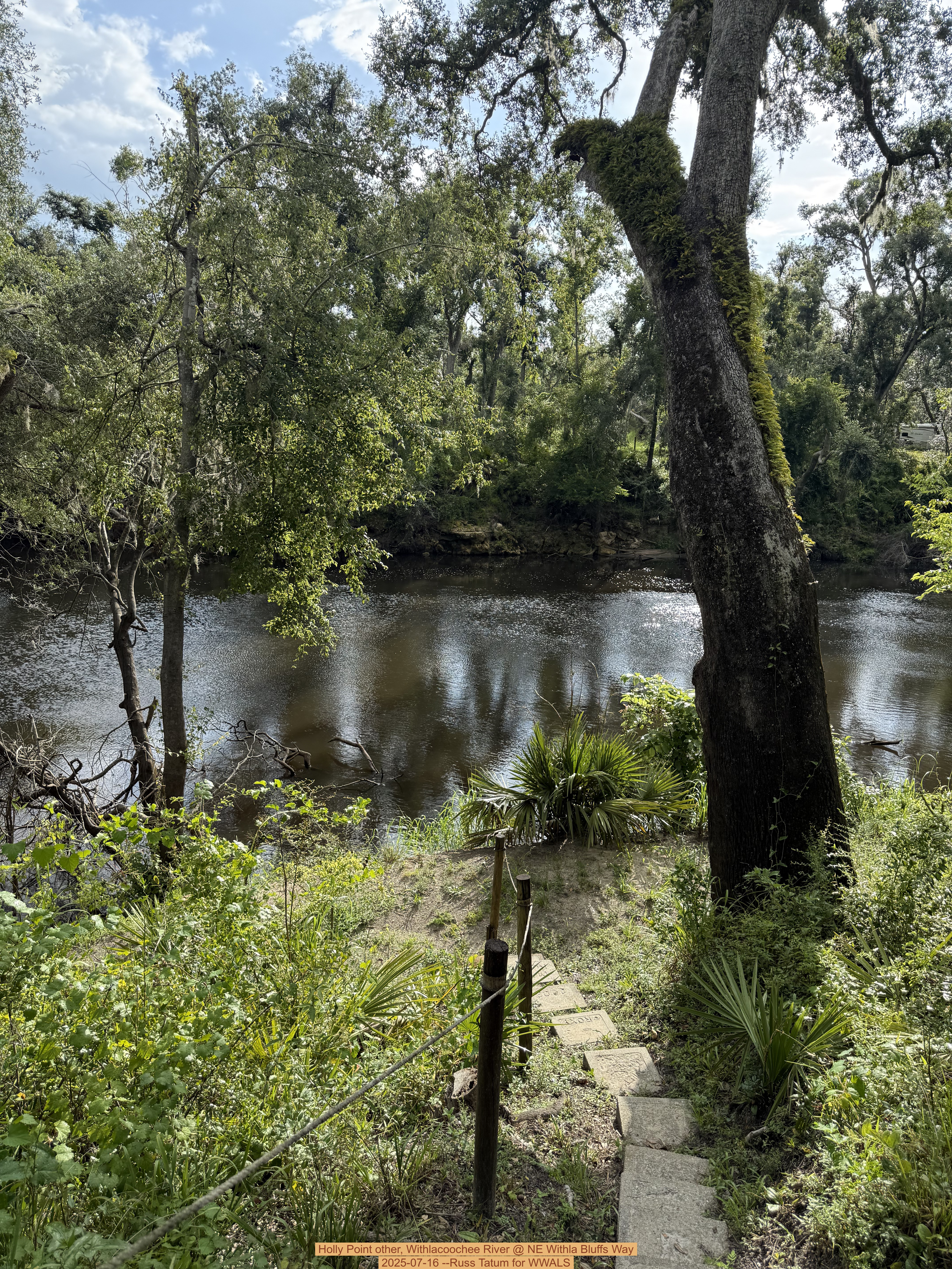 Holly Point other, Withlacoochee River @ NE Withla Bluffs Way 2025-07-16 --Russ Tatum for WWALS