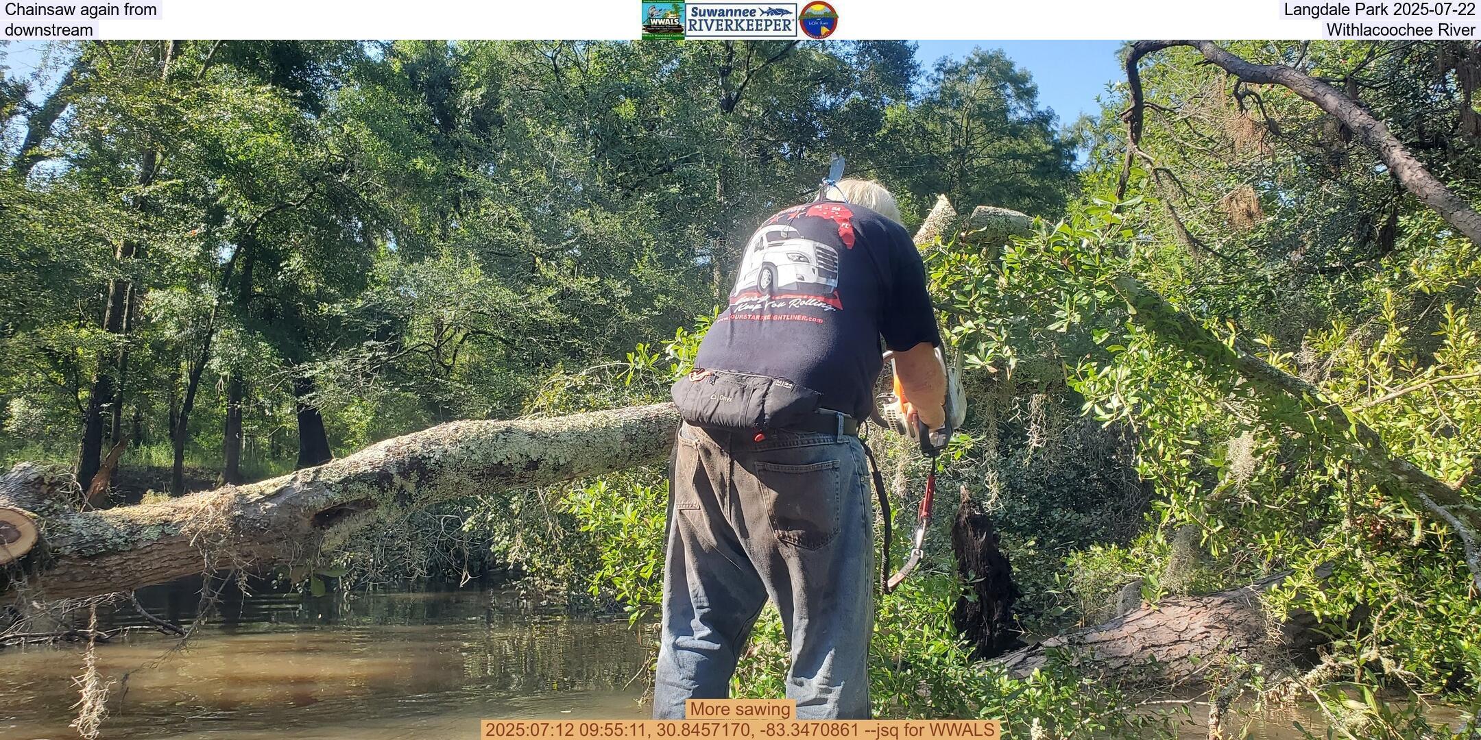 Chainsaw again upstream from Troupville 2025-07-22, towards Sugar Creek, Withlacoochee River
