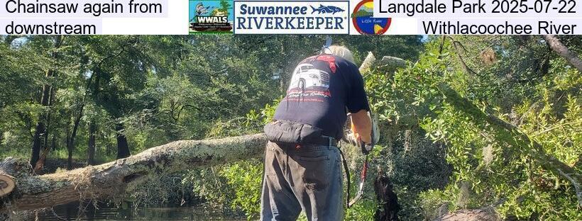 Chainsaw again upstream from Troupville 2025-07-22, towards Sugar Creek, Withlacoochee River