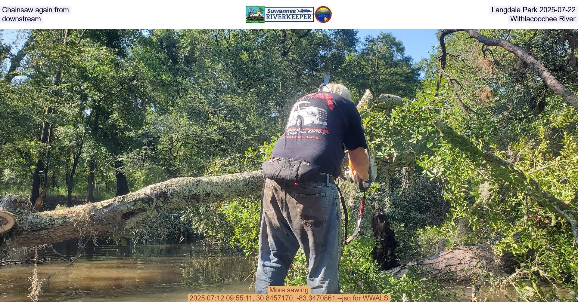 [Chainsaw again from Langdale Park 2025-07-22, downstream, Withlacoochee River]