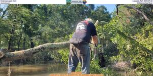 [Chainsaw again from Langdale Park 2025-07-22, downstream, Withlacoochee River]