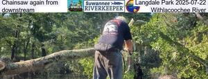 [Chainsaw again from Langdale Park 2025-07-22, downstream, Withlacoochee River]