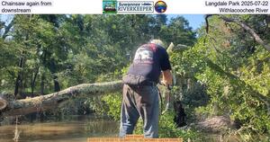 [Chainsaw again from Langdale Park 2025-07-22, downstream, Withlacoochee River]