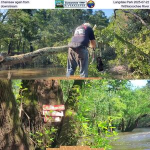 [Chainsaw again from Langdale Park 2025-07-22, downstream, Withlacoochee River]