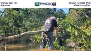[Chainsaw again from Langdale Park 2025-07-22, downstream, Withlacoochee River]