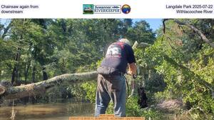 [Chainsaw again from Langdale Park 2025-07-22, downstream, Withlacoochee River]